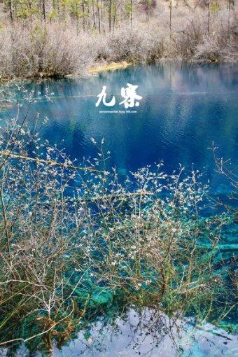 全村的希望