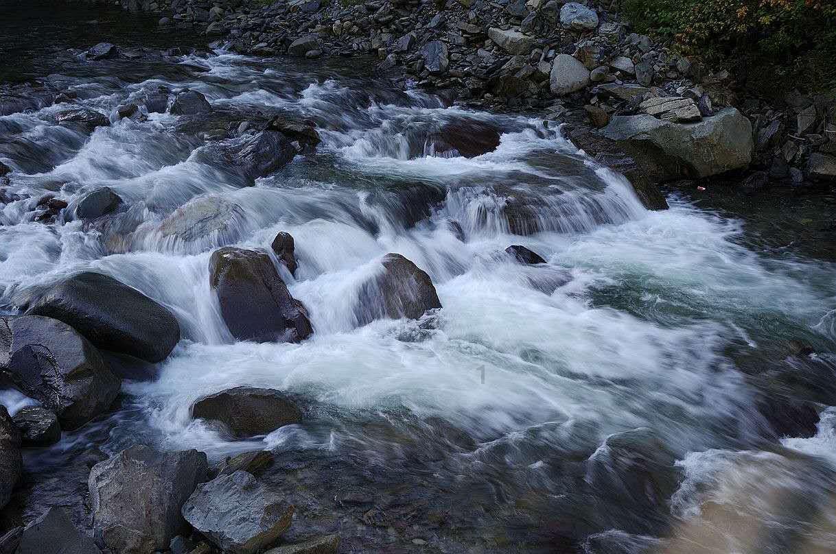 企鹅回城5之飞渡横木